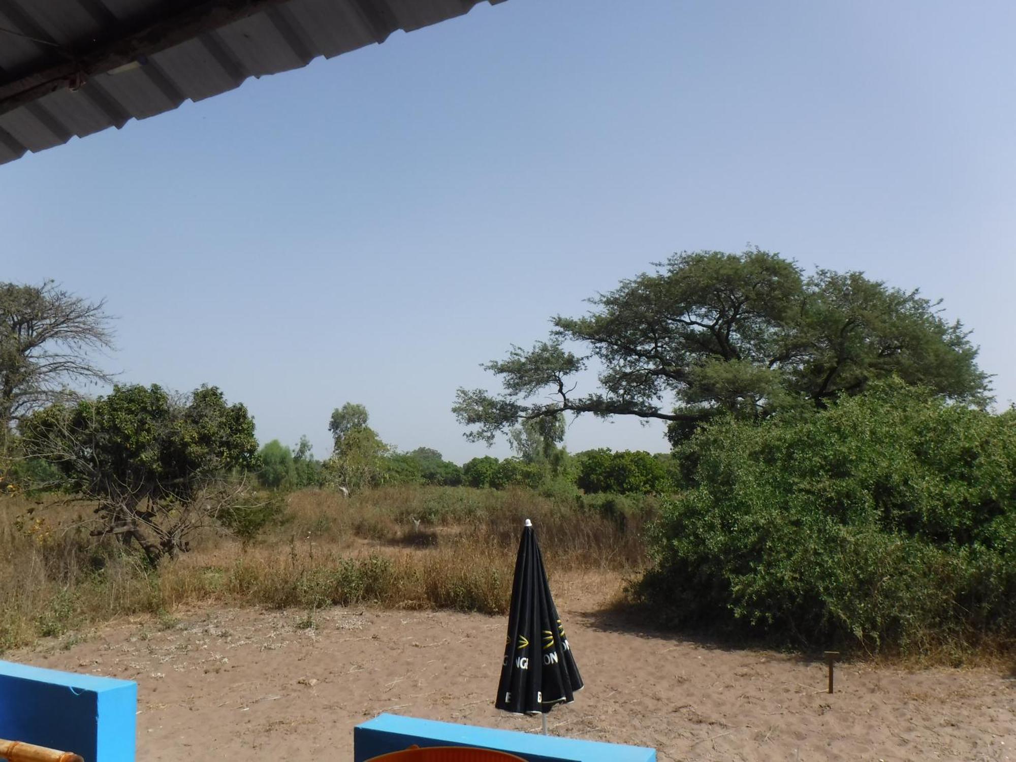 Jinack Lodge Jinack Island Luaran gambar